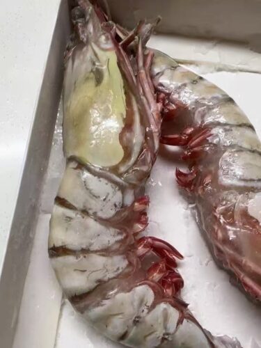 Colossal Black Tiger Prawns photo review